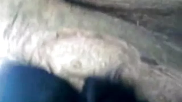 कापरी शैली सेक्सी मूवी सेक्सी सेक्सी मूवी काली गधा