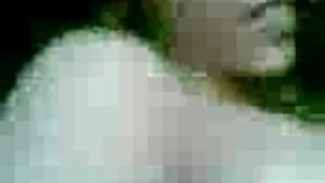 एशियाई BBW सेक्सी मूवी सनी देओल की एक फिनिशर है!