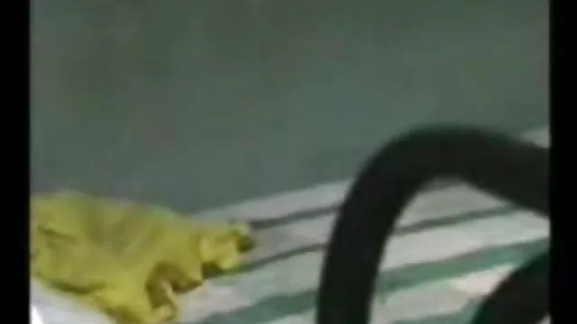 अन्ना हॉट सेक्सी मूवी