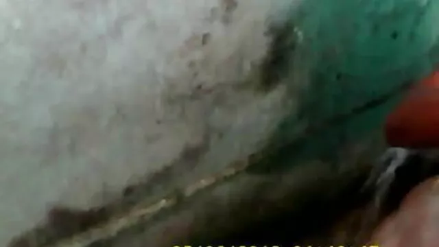 बर्बर सेक्सी मूवी वीडियो