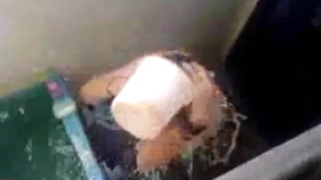 शौकिया बीबीडब्ल्यू ज्यादा सेक्सी मूवी एक मुर्गा पिटाई