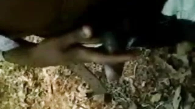 पापा - सेक्सी मूवी फुल सेक्सी मूवी हॉट लाइट बालों वाली युवा महिलाएं अपनी गीली चूत के साथ खेलती हैं
