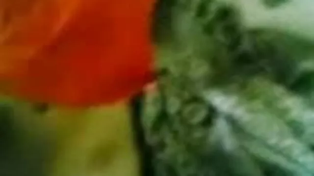 लारा शिल्प शक्ति कपूर की सेक्सी मूवी फूटजोब