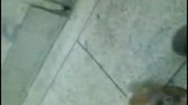 गर्म गोरा चिट्टा। जॉय हिंदी सेक्सी मूवी वीडियो