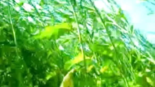 बेले सुसाइड न्यू सेक्सी मूवी पिक्चर !!